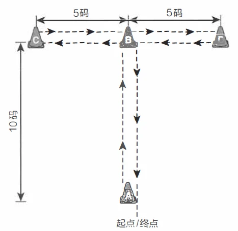 篮球一周的训练计划怎么写_1